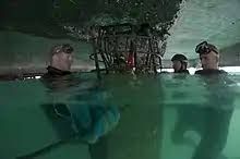 Image result for Pyle Octopush Club