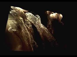 Attēlu rezultāti vaicājumam “Stemonitis axifera stalked”