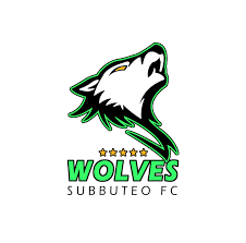 Image result for Wolverhampton Subbuteo Table Football Club