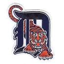 Detroit Tigers Secondary
