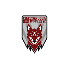 Image result for Weston Rhyn Wolves