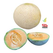 Image result for Melone