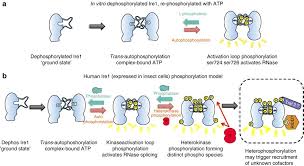 「IRE 0.0 IRE 7.5」の画像検索結果