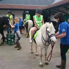 Image result for Dalkeith Park Equestrian Club
