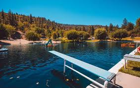 Image result for Cringlewood Club