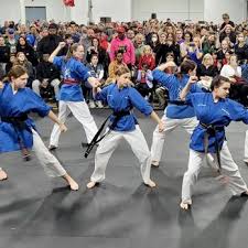 Image result for Action Karate