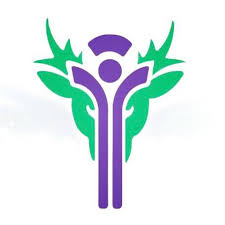 Image result for Lochcarron Camanachd