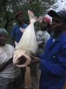 Pointe Noire Photos - Featured Images of Pointe Noire, Pointe ...