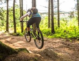 Image result for Epping Forest Mountain Bike Club