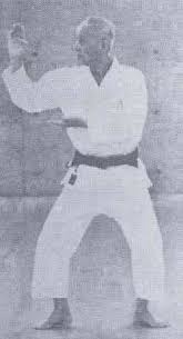 Image result for Independent Wadoryu Karate Federation