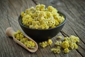 Attēlu rezultāti vaicājumam “Helichrysum arenarium bud”