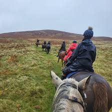 Image result for Scottish Equi Complex