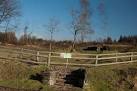 ramorum pathogen. - via Daymix