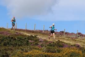 Image result for Wirral Athletics Club