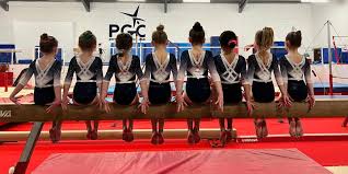 Image result for North Devon Display Gymnastics Club
