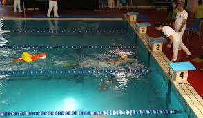 Image result for Survive & Save Swimming & Lifesaving Club