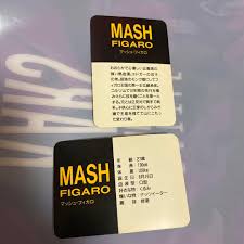 「マッシュ・レネ・フィガロ」の画像検索結果