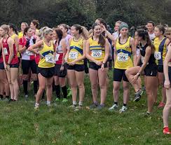 Image result for Dudley and Stourbridge Harriers Athletics Club