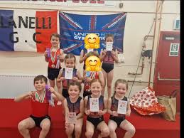 Image result for Haverfordwest Gymnastics Club