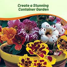 Image result for Mimulus x hybrida