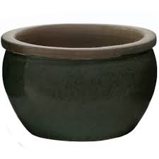 Image result for bacía