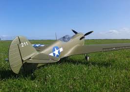 Image result for Reading & District Model Aircraft Club