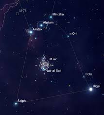 Image result for m42 sketch