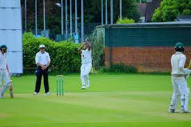 Image result for Wellingborough Town Cc