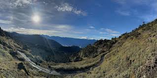 Image result for Clyde Valley Predators