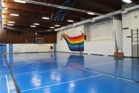 Image result for Britannia Badminton Club