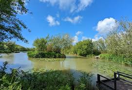 Image result for Bideford and District Angling Club