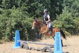Image result for South Weylands Equestrian