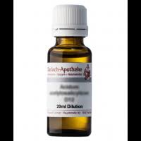 Attēlu rezultāti vaicājumam “Chara intermedia”