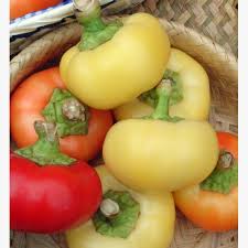 Afbeeldingsresultaat voor Szegedi 80 hot pepper