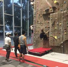 Image result for Monarchs Sports Acrobatics Club