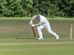 Image result for Lynchmere Cricket Club