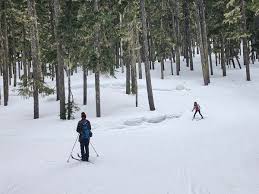 Image result for White Cross Ski Club