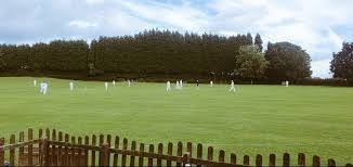 Image result for Bredgar Cricket Club