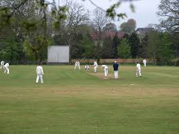 Image result for Chulmleigh & Mid Devon Cricket Club