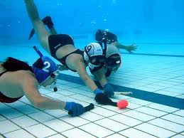 Image result for Brighton Octopush Club