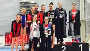 Image result for York University Gymnastics Club