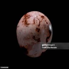 Attēlu rezultāti vaicājumam “Emberiza schoeniclus eggs”