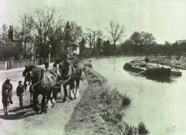 Image result for Runnymede Angling Association