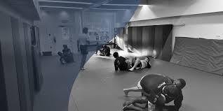 Image result for Martial Arts New Jersey