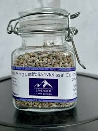 Attēlu rezultāti vaicājumam “Lavandula angustifolia bud”