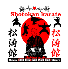 Image result for Shotokan Karate