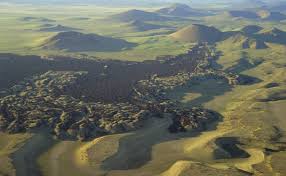 Attēlu rezultāti vaicājumam “Craterium sp.”