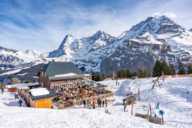 「アルベルト・シルバーバーグ」の画像検索結果