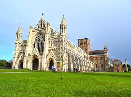 Image result for St Albans Ultimate