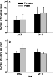 Attēlu rezultāti vaicājumam “Salix myrsinifolia male flower”